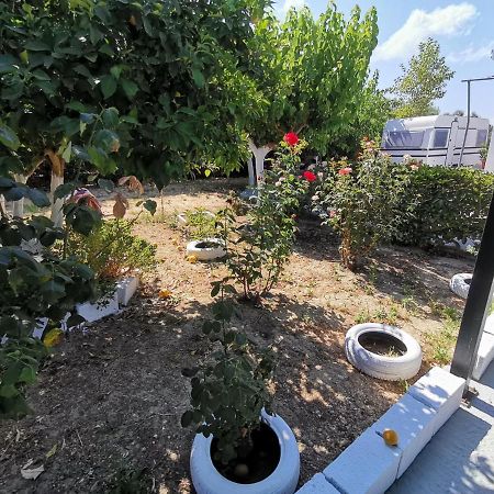 Green Garden Caravan Hotel Agrilia Exterior foto