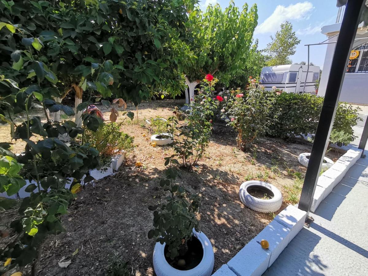 Green Garden Caravan Hotel Agrilia Exterior foto